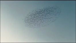 The Death Of Bunny Munro - Season 01 Episode 03